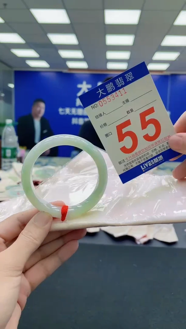 未镶嵌手镯翡翠AAAAAAAAA1
