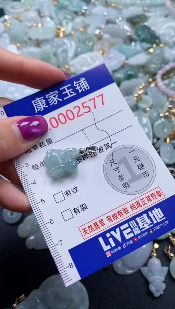 颈饰未镶嵌翡翠2577