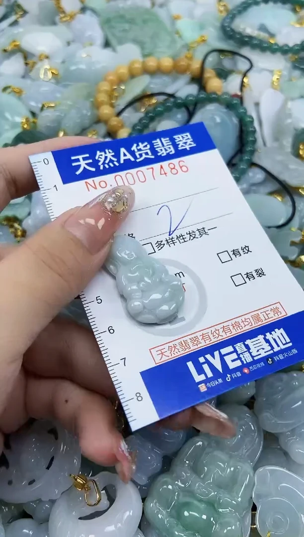 翡翠未镶嵌颈饰天然A货翡翠