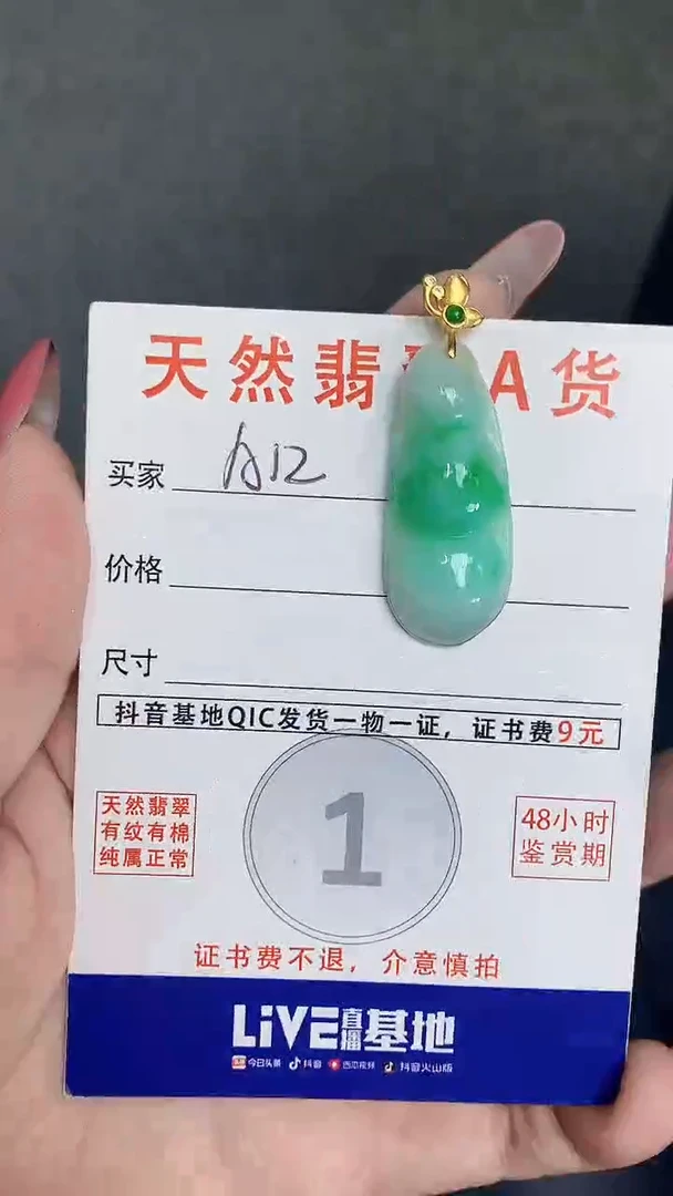 颈饰未镶嵌翡翠天然A货翡翠挂件