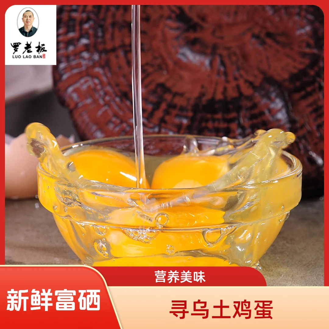 寻乌县正宗老罗老板灵芝营养鸡蛋10-60枚包邮新鲜富硒农家土鸡蛋