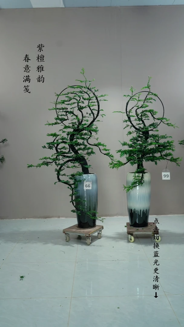 无花朵赵****n66号链接