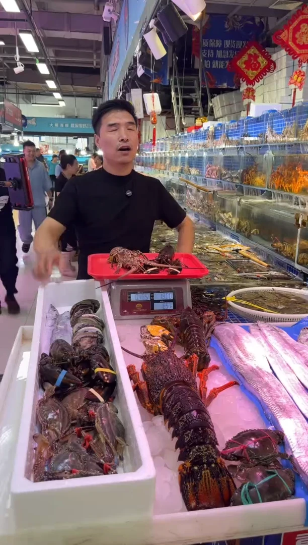 中国大陆断氧小波龙1只，古巴龙1只，1.9斤