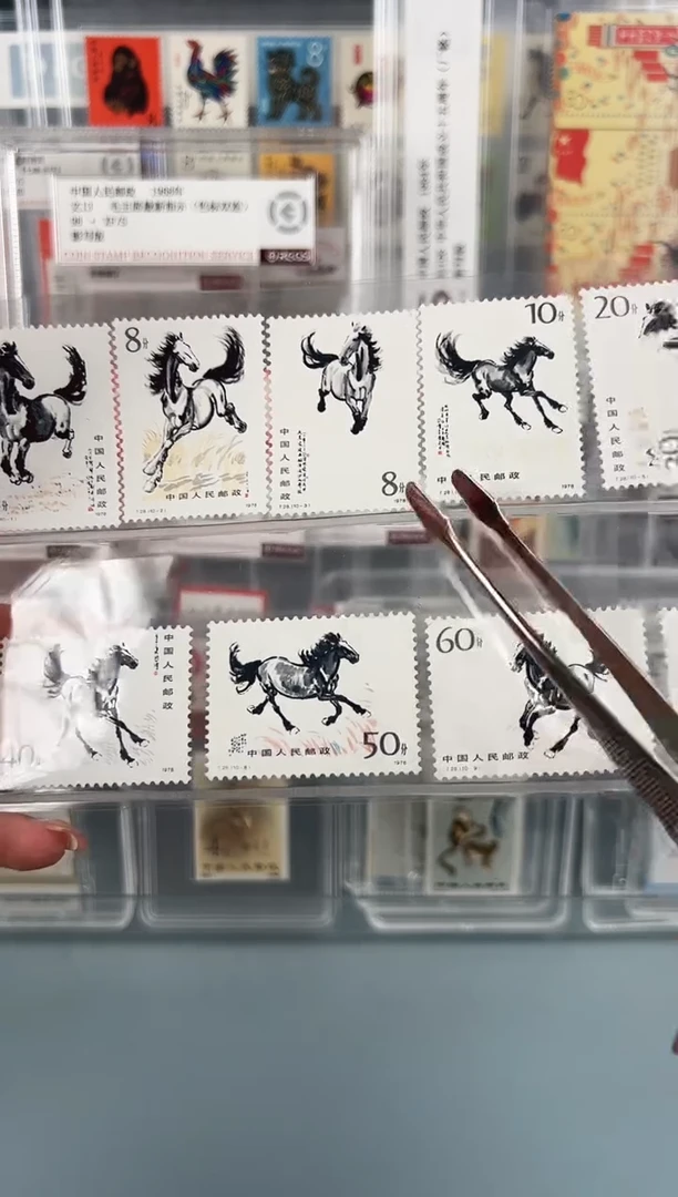 T28奔马全套片装装双11福利