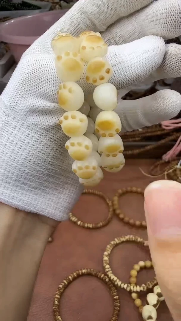 手串菩提根/象牙果菩提根猫爪