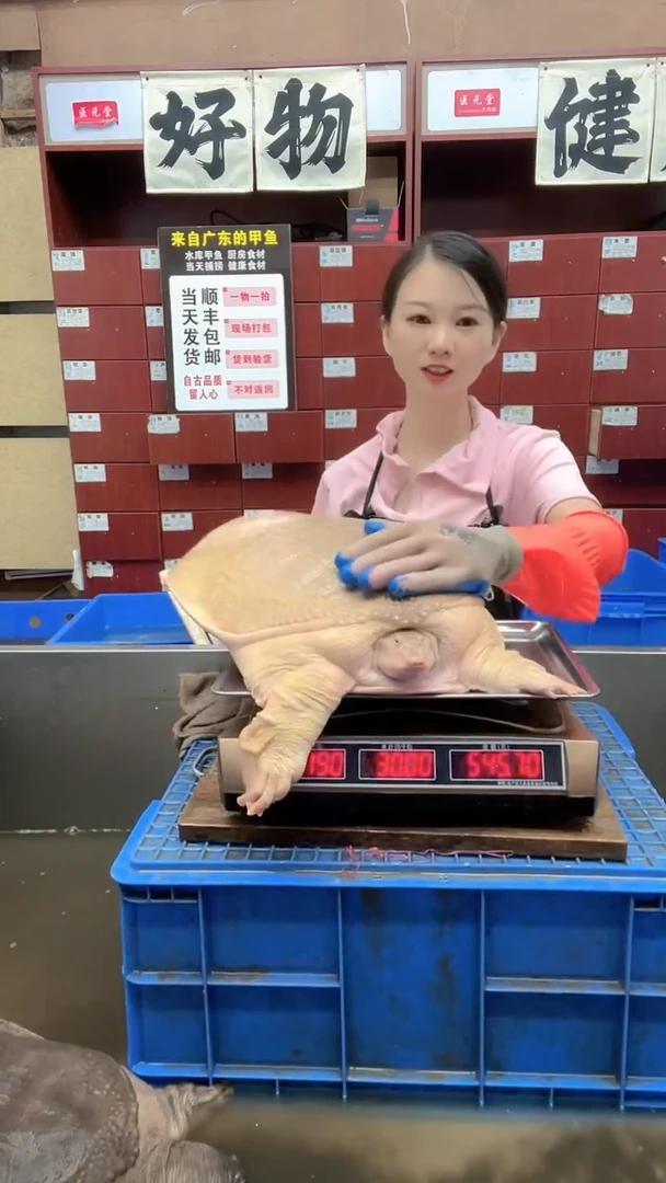 中国大陆称上这一只