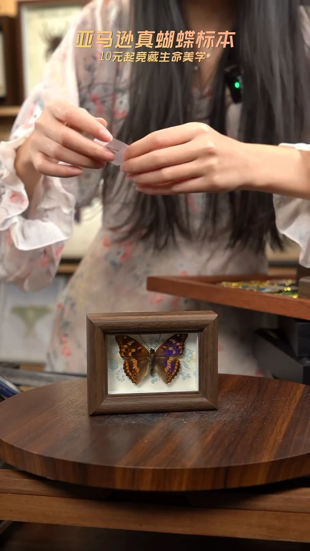 柳紫闪蛱蝶新款冰箱贴a207