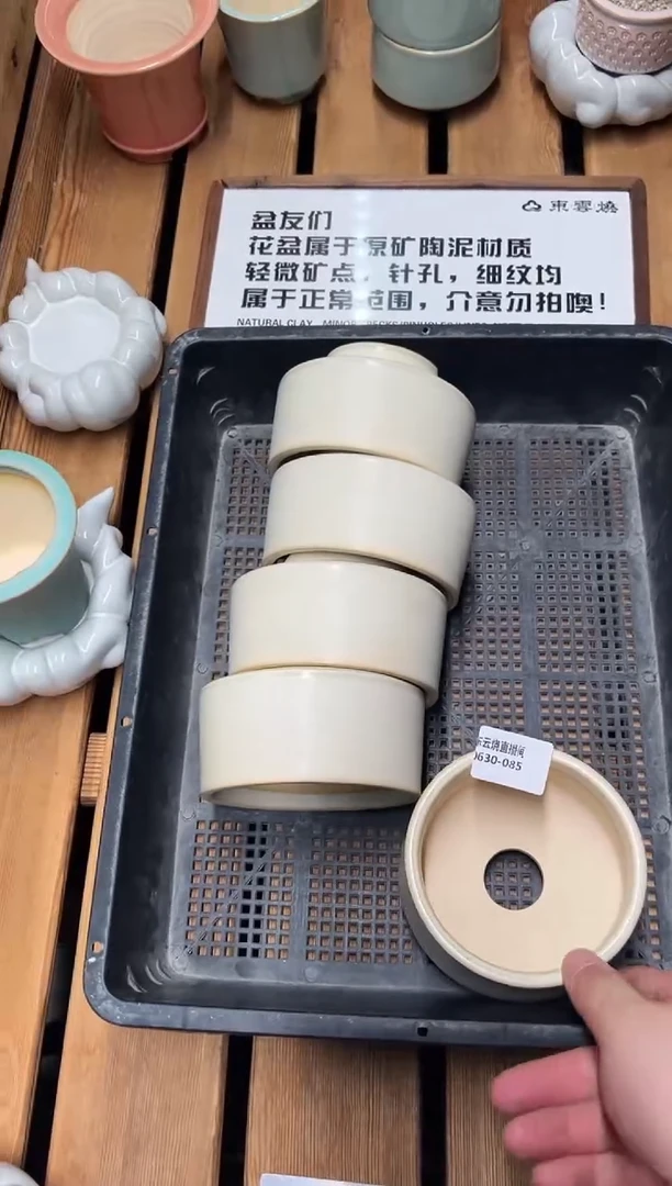 0630-085 观正量拍 随机一只