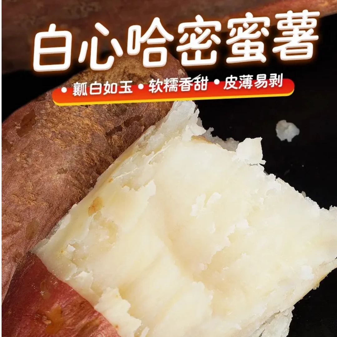 五斤装  精品果正宗山东哈密冰糖心白薯新鲜现挖瓤白如玉坏果包赔