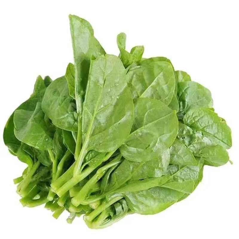 木耳菜 约500g/份