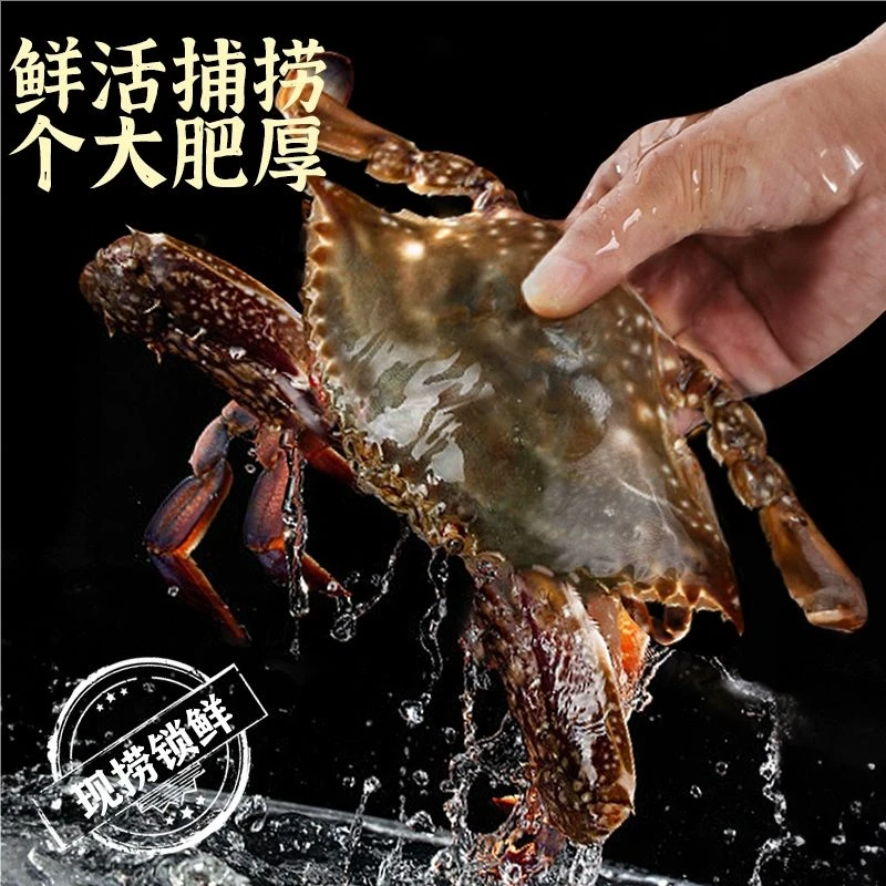 【胖姐海鲜】掉抓残蟹海蟹吃肉母蟹2-5斤单只1-5两【保鲜不保活】