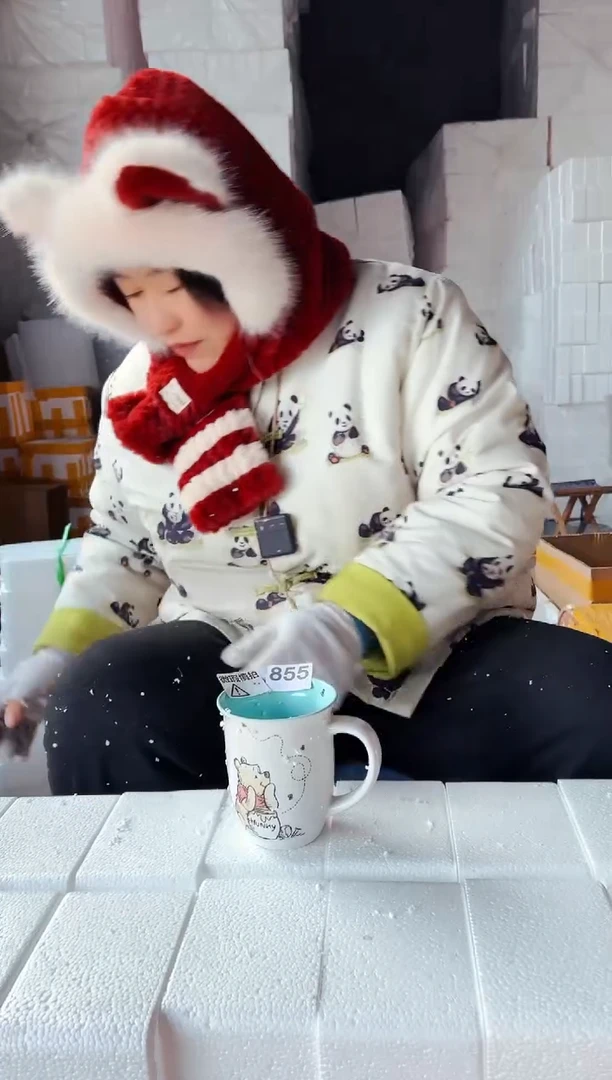 【闪购商品】炻瓷无盖款855【微瑕慎拍】