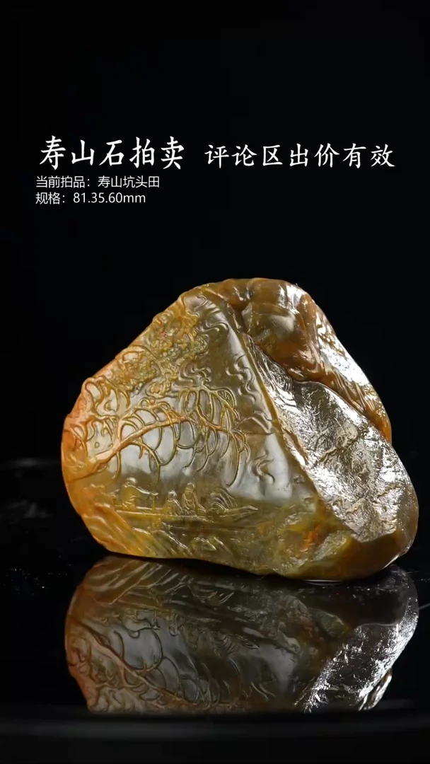 寿山石用****7当前拍品：寿山坑头田 规格：81.35.60mm 194克