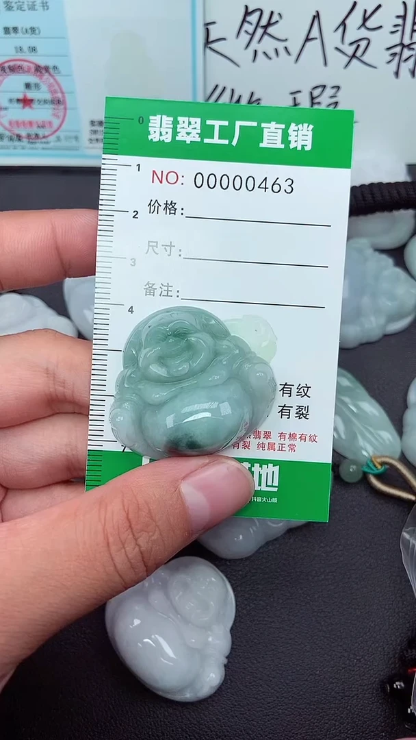颈饰未镶嵌翡翠缅甸天然翡翠微微瑕0463