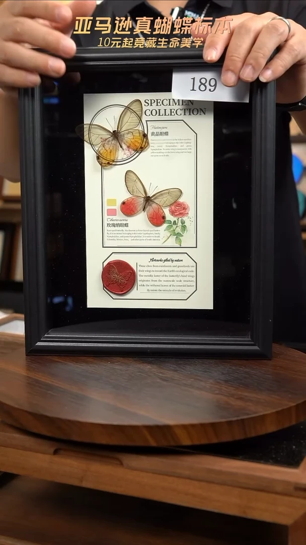 玫瑰绡眼蝶+黄晶眼蝶悬浮设计款