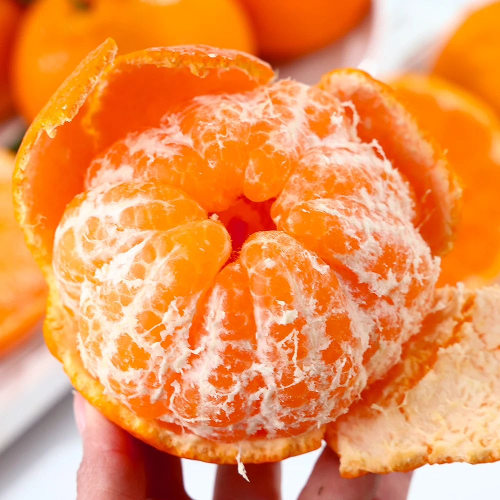 四川春见耙耙柑带箱5斤 70-75mm中果 高甜高酸多汁源头产地直发B