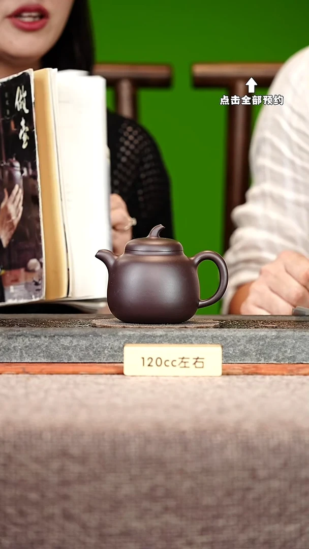 宜兴紫砂茶壶茶壶100