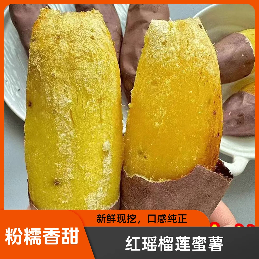 山东榴莲蜜薯山东红瑶蜜薯烟台蜜薯