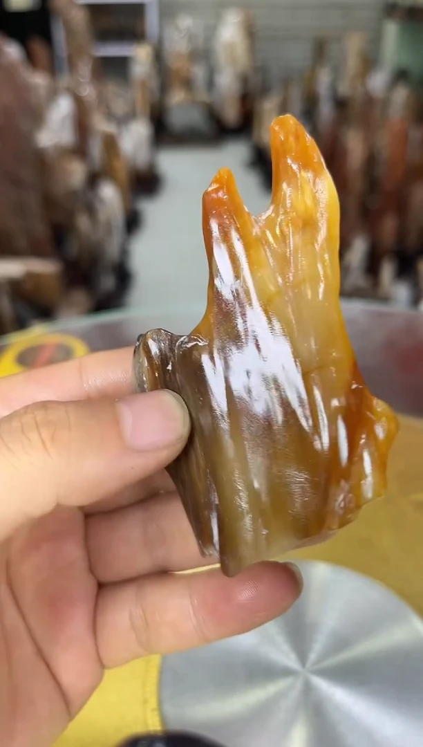 硅化玉珠宝奇石未镶嵌缅甸天然树化玉