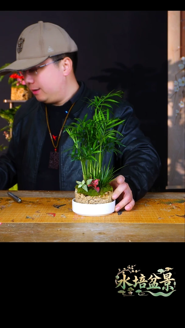 石云社一物一拍组合盆栽13