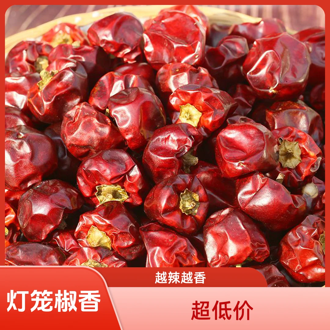 【灯笼椒】微微辣爆香 越煮越香 炖卤炒菜 煮火锅 农家干辣椒