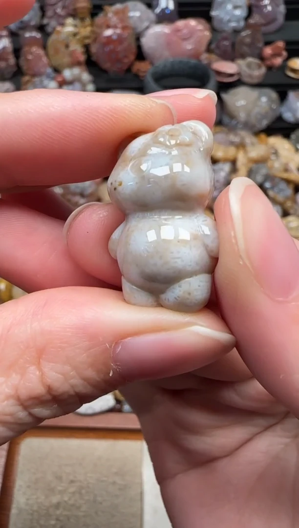 颈饰未镶嵌硅化珊瑚（珊瑚玉）294