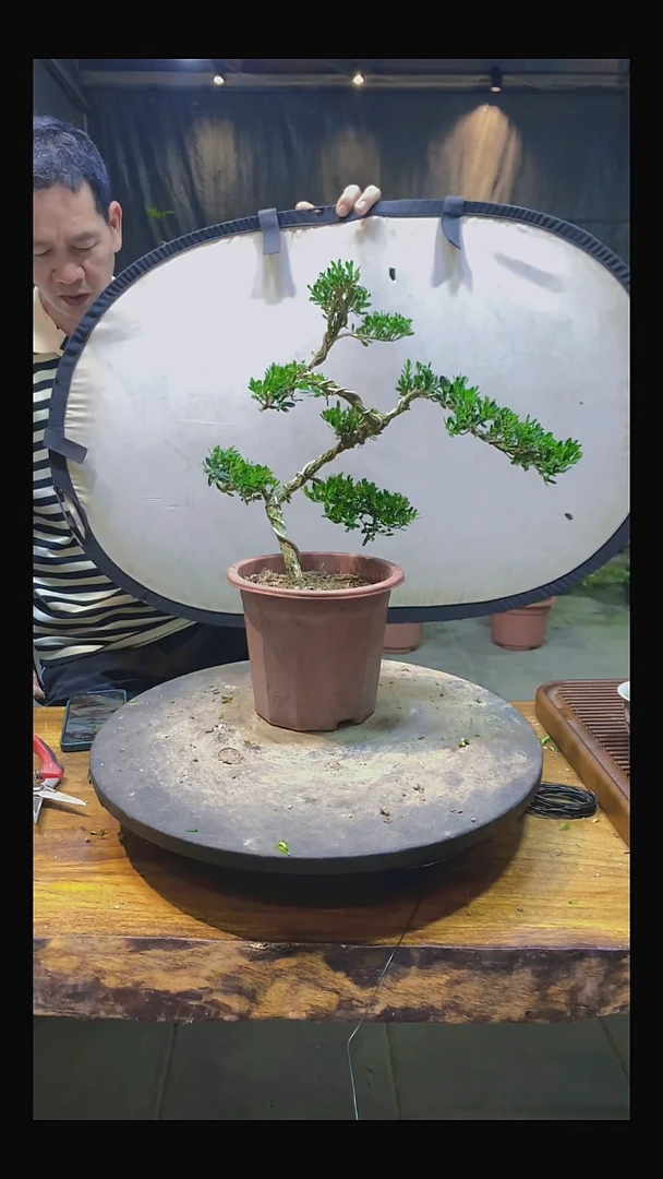 完全开放三*11111111