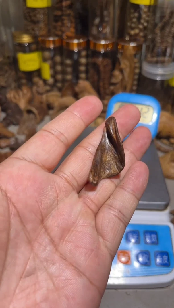 沉香沉香碎屑 东马1.8（克）