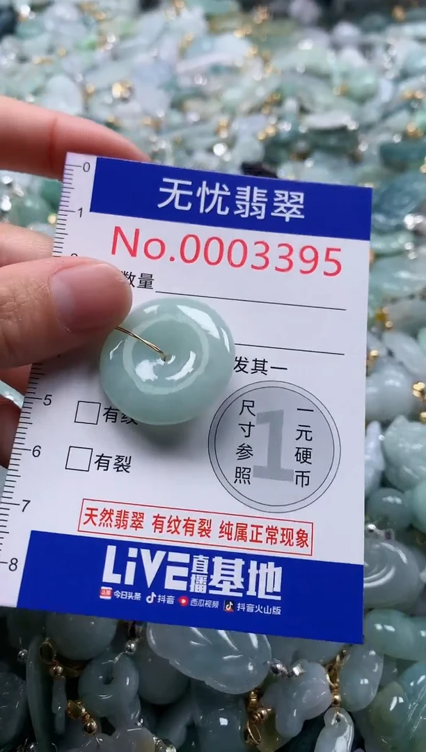 翡翠未镶嵌吊坠(不含链)多样性发其一3395