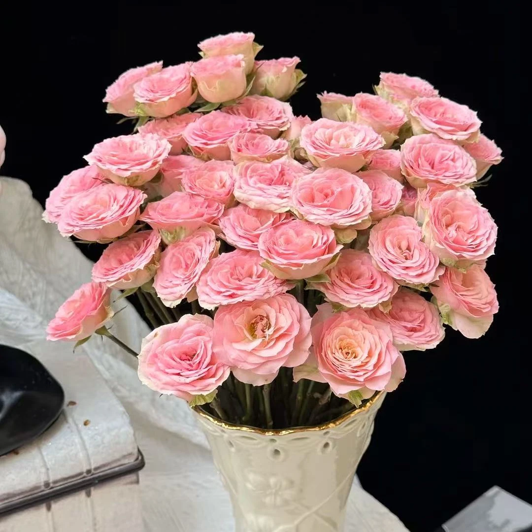 【余温】稀有俏溪阳稀有多头玫瑰 玖枝花优选基地直发鲜花儿