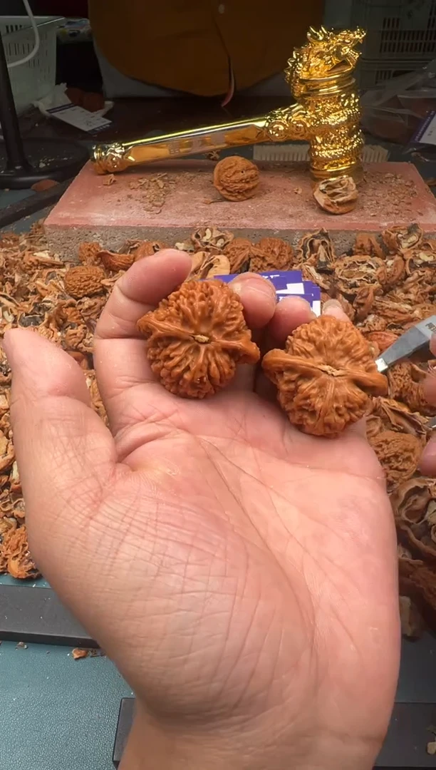 【闪购商品】文玩核桃把件雷龙文玩核桃满天星40尺寸-79