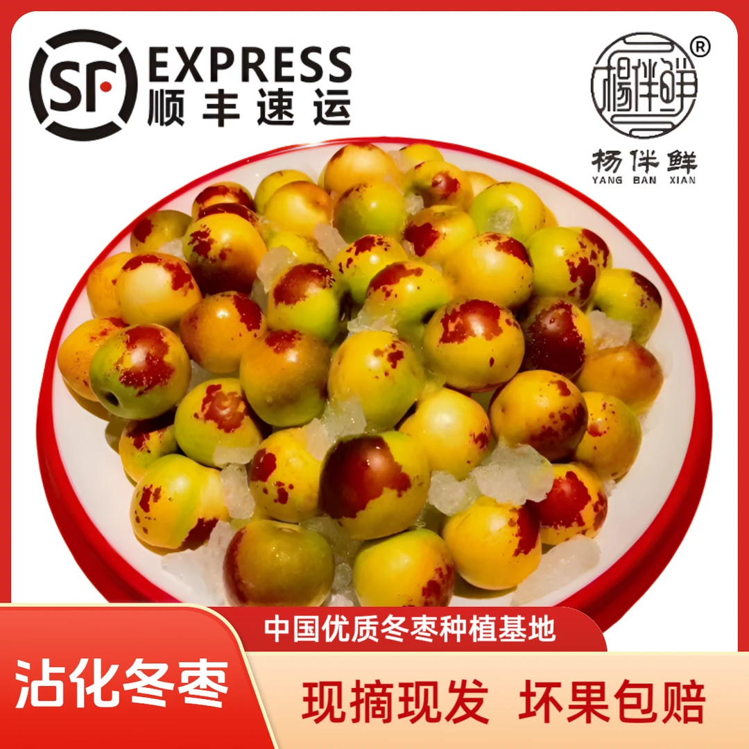 杨伴鲜【顺丰包邮】沾化冬枣 现摘现发 大棚冬枣  产地直发