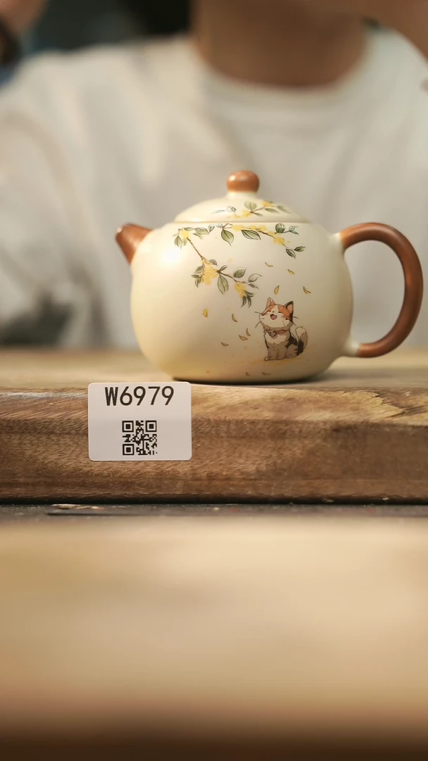 【闪购商品】【经典福利】/ 壶@@W6979