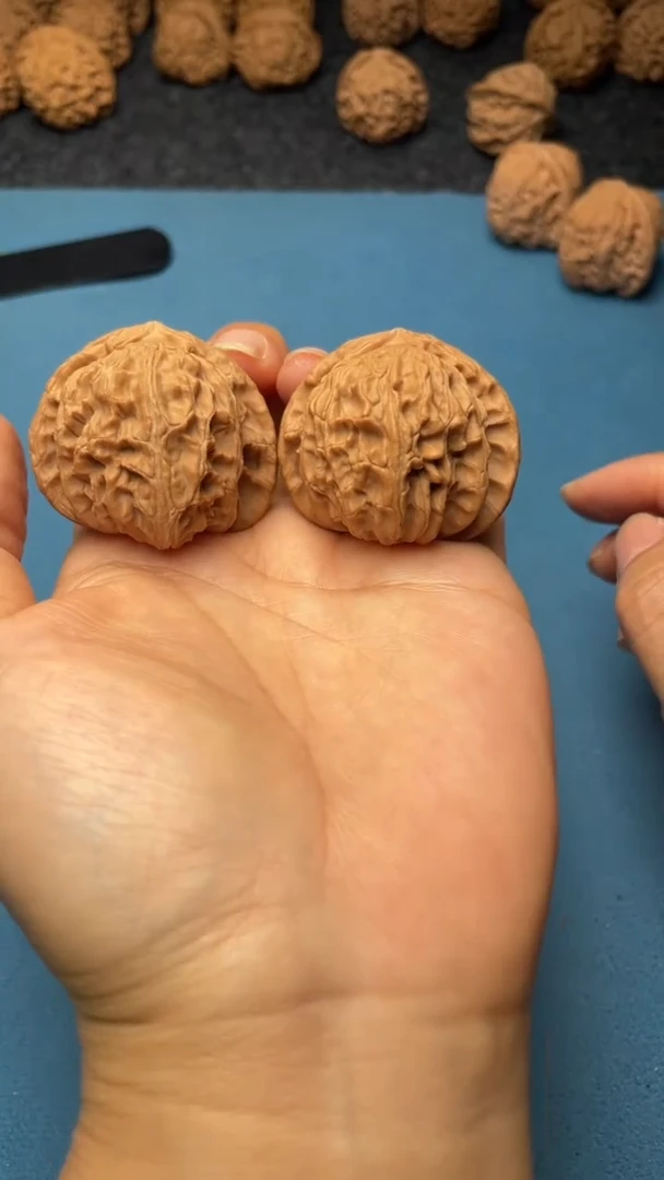 桃核把件w102  白狮子 40尺