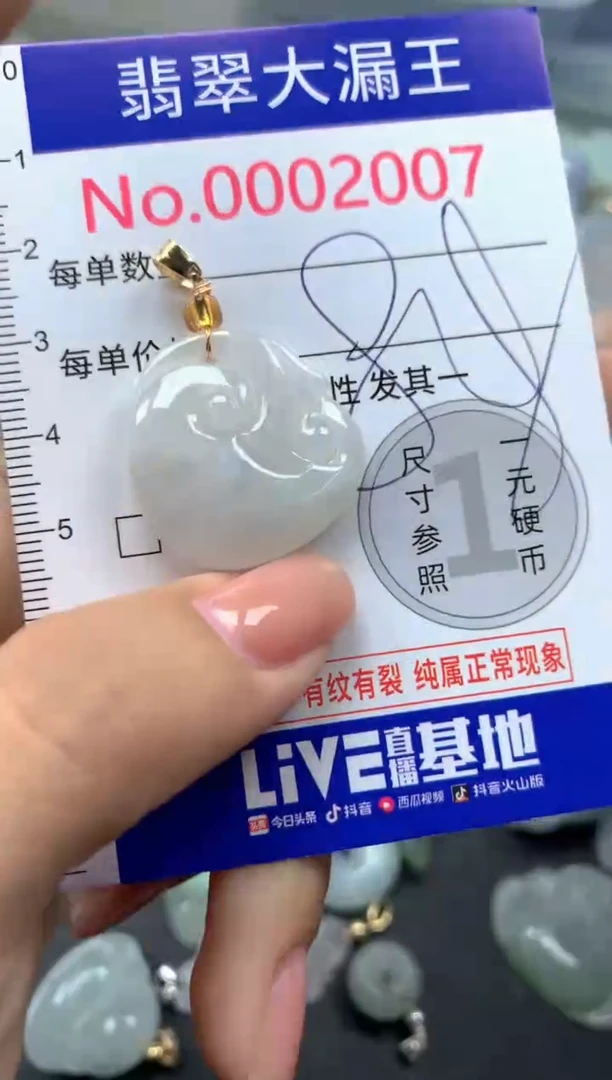 颈饰未镶嵌翡翠2007