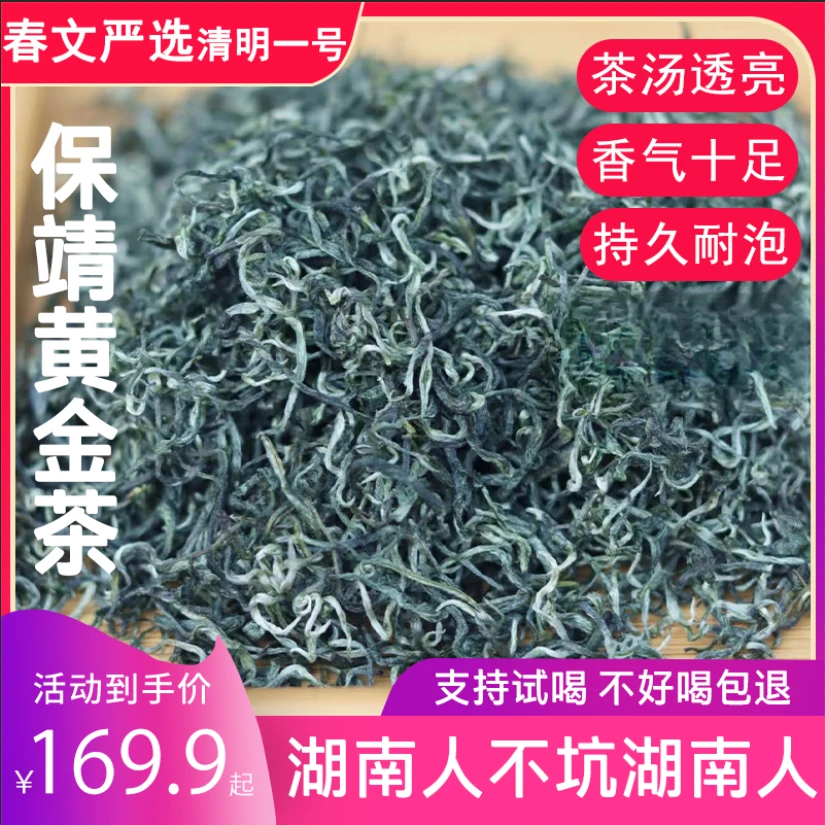 保靖黄金茶2024春茶清明保靖黄金茶一号茶半斤一斤绿茶体验试喝
