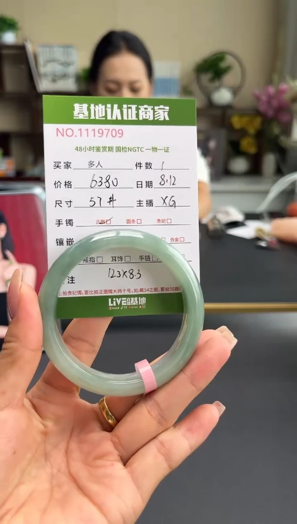 翡翠手镯未镶嵌多人