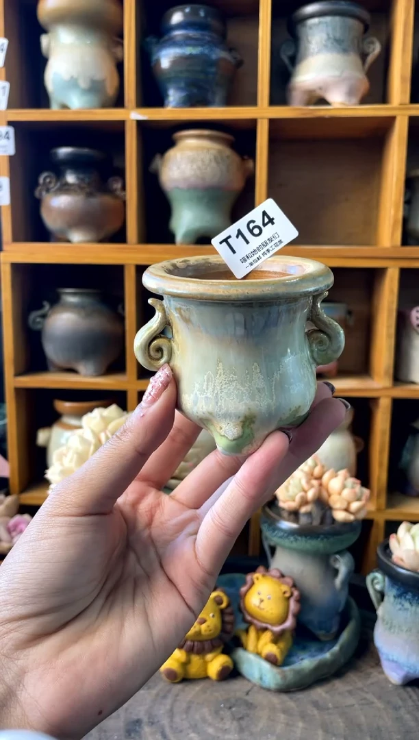 用*164【多肉花盆多肉盆】