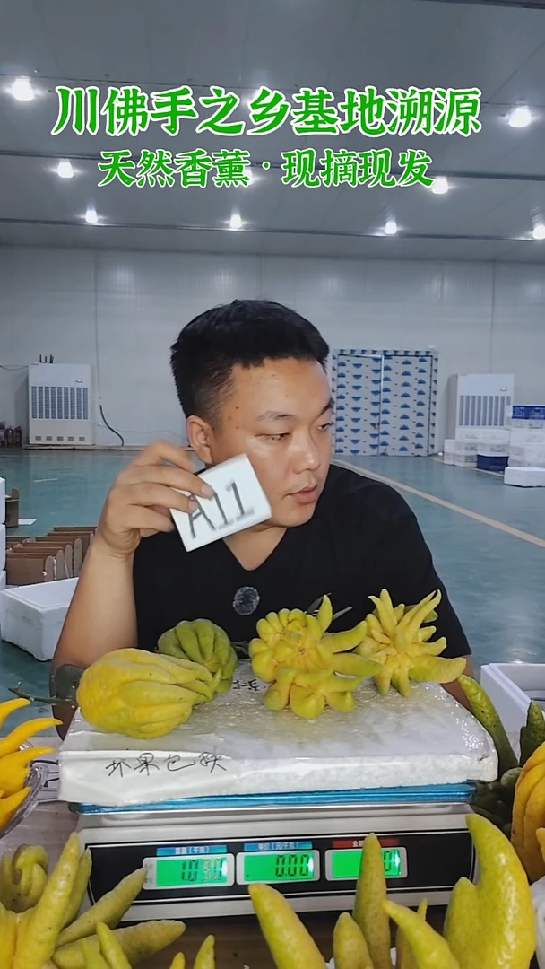 柑橘【一物一拍】川佛手柑鲜果A11