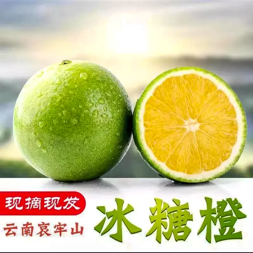 云南哀牢山青皮冰糖橙当季新鲜水果清甜多汁皮薄肉厚