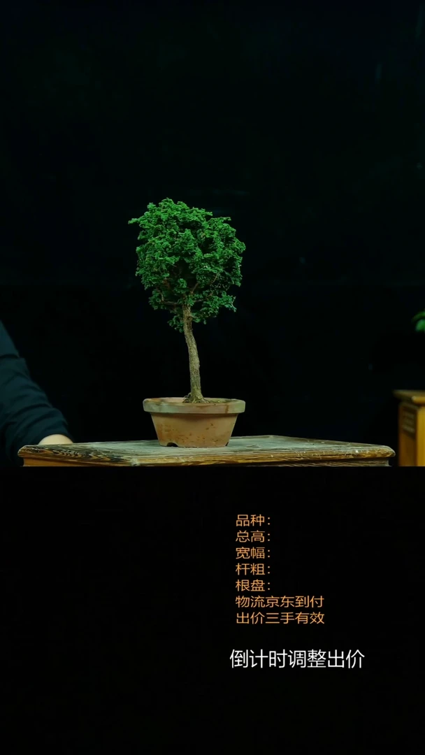 【闪购商品】00000