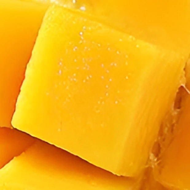 金枕流金枕流金枕流金枕流金枕流