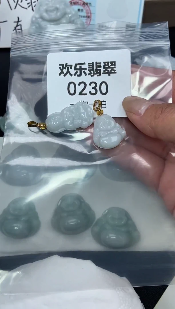 颈饰未镶嵌翡翠缅甸天然翡翠0230