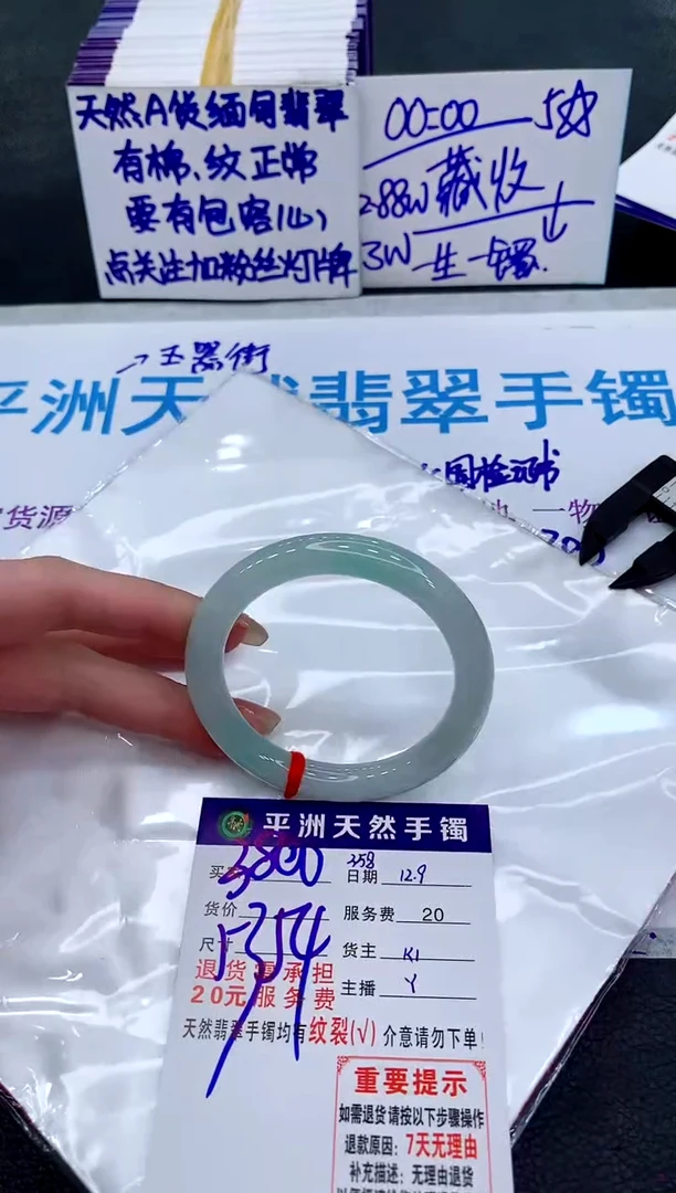 未镶嵌手镯翡翠11111111