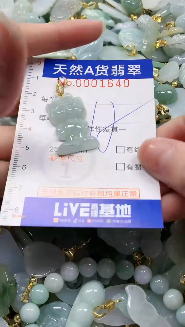 颈饰未镶嵌翡翠纯天然a货翡翠