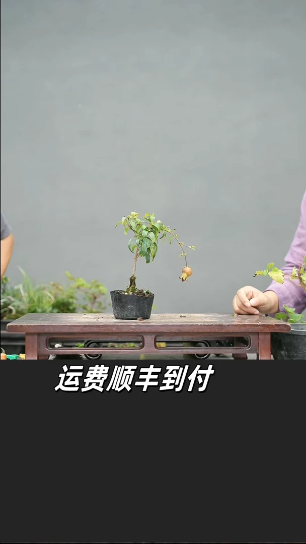 游****詹8