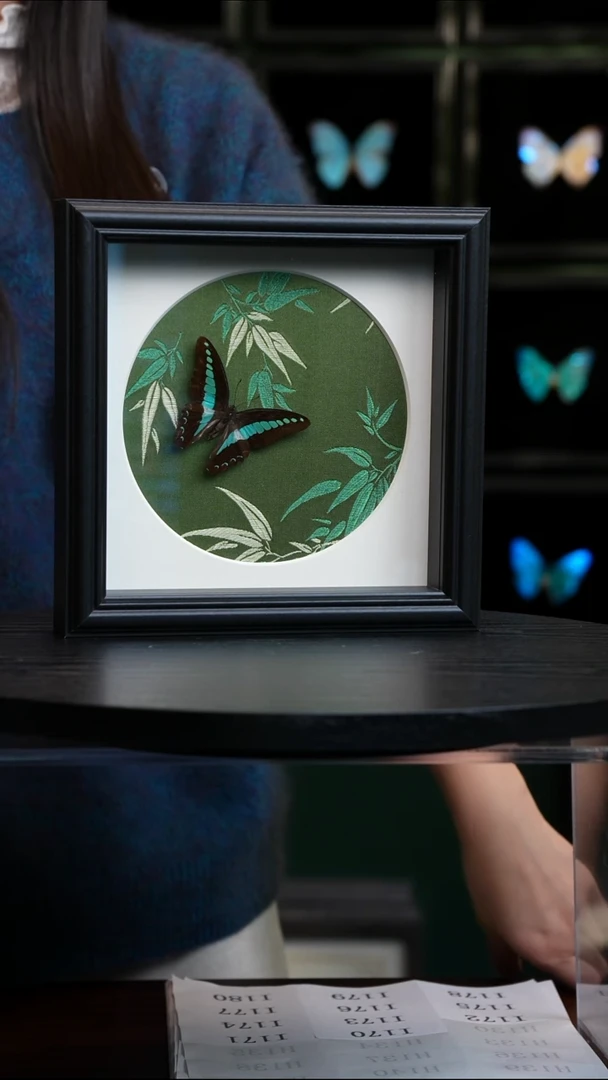 青凤蝶竹子布料底8寸方框