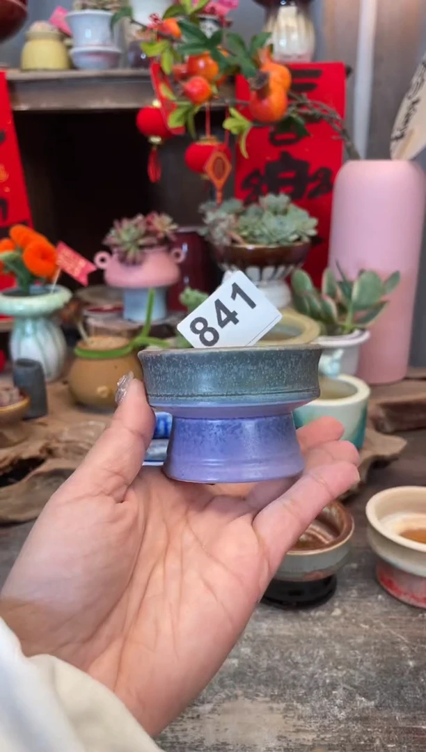 【闪购商品】摆件841知木小芳花盆