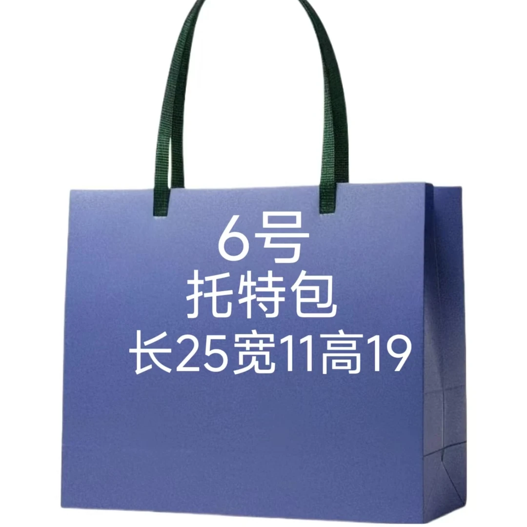    (6号) 轻奢时尚百搭女士棕色小众简约托特包K25 