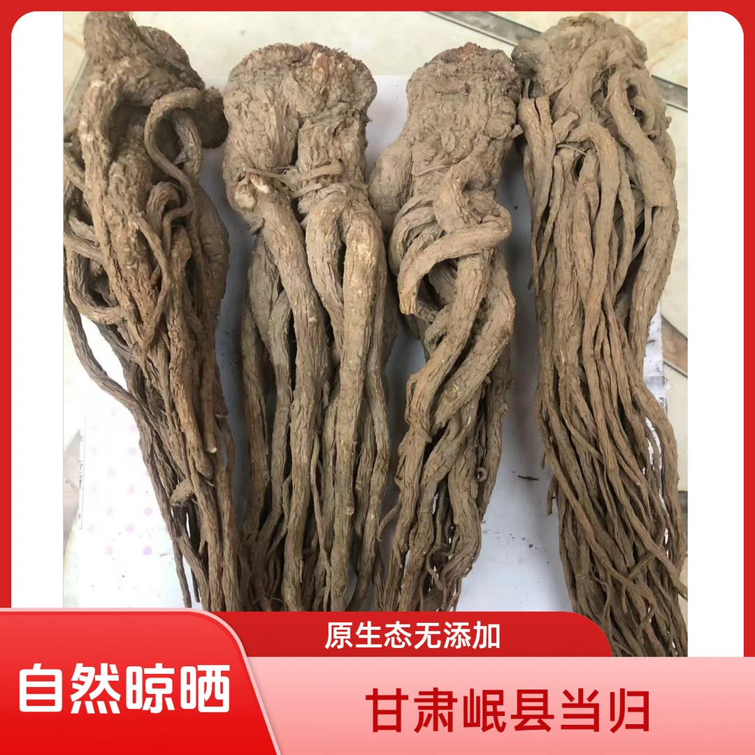 甘肃岷县当归 自己种植 实物照片
